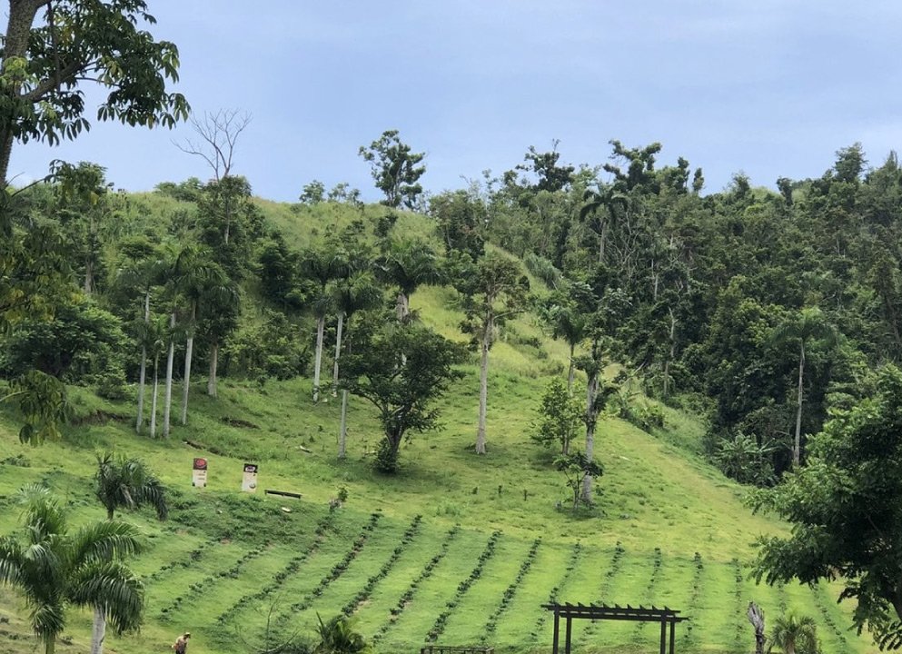 Nuevo-PR-ruta